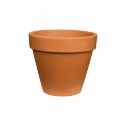 Pennington Terra Cotta Standard Pot, 2950120120