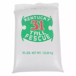 Agassiz Seed K-31 Tall Fescue, 4400050, Bulk - Price Per LB