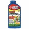 Bioadvanced All-In-One Lawn Weed & Crabgrass Killer, Concentrate, BY704140A, 32 OZ -Lawn & Garden Store sftp a s assets20210211000000019