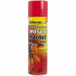 Enforcer Instant Knochdown Wasp & Hornet Killer, EWHIK16, 16 OZ
