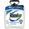 Roundup Weed & Grass Killer III with Pump, Go 2 Sprayer, MS5100114, 1.33 Gallon -Lawn & Garden Store sftp a s assets20210628000000061