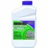 BONIDE Ground Force® Vegetation Killer Concentrate, 32 oz -Lawn & Garden Store sftp a s assets20210803000000040