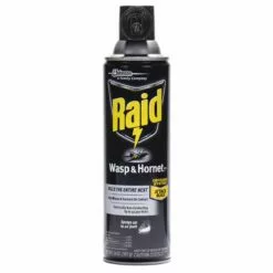 Raid Wasp & Hornet, 1353, 14 OZ