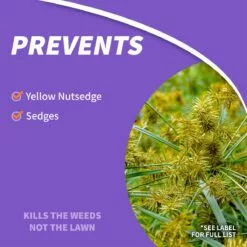 BONIDE Sedge Ender® Concentrate, 16 oz -Lawn & Garden Store sftp a s assets20220701000000017