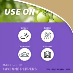 BONIDE Hot Pepper Wax Animal Repellent Ready-To-Use, 32 oz -Lawn & Garden Store sftp a s assets20220701000000026