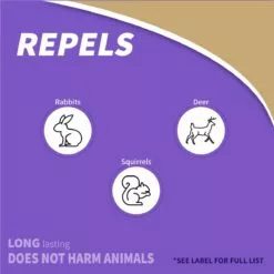 BONIDE Hot Pepper Wax Animal Repellent Ready-To-Use, 32 oz -Lawn & Garden Store sftp a s assets20220701000000027