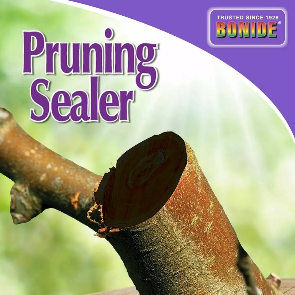 BONIDE Pruning Sealer Aerosol, Aerosol 6 BONIDE Pruning Sealer Aerosol, Aerosol - Image 4