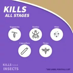 BONIDE CAPTAIN JACK'S Deadbug Brew® Ready-To-Use, QT RTU 10 BONIDE CAPTAIN JACK'S Deadbug Brew® Ready-To-Use, QT RTU -Lawn & Garden Store sftp a s assets20220701000000076