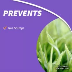 BONIDE Stump-Out® DIY Stump Removal Granules, 1 lb -Lawn & Garden Store sftp a s assets20220701000000086