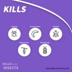 BONIDE EIGHT® Vegetable, Fruit, & Flower Concentrate, 32 oz 10 BONIDE EIGHT® Vegetable, Fruit, & Flower Concentrate, 32 oz -Lawn & Garden Store sftp a s assets20220701000000108