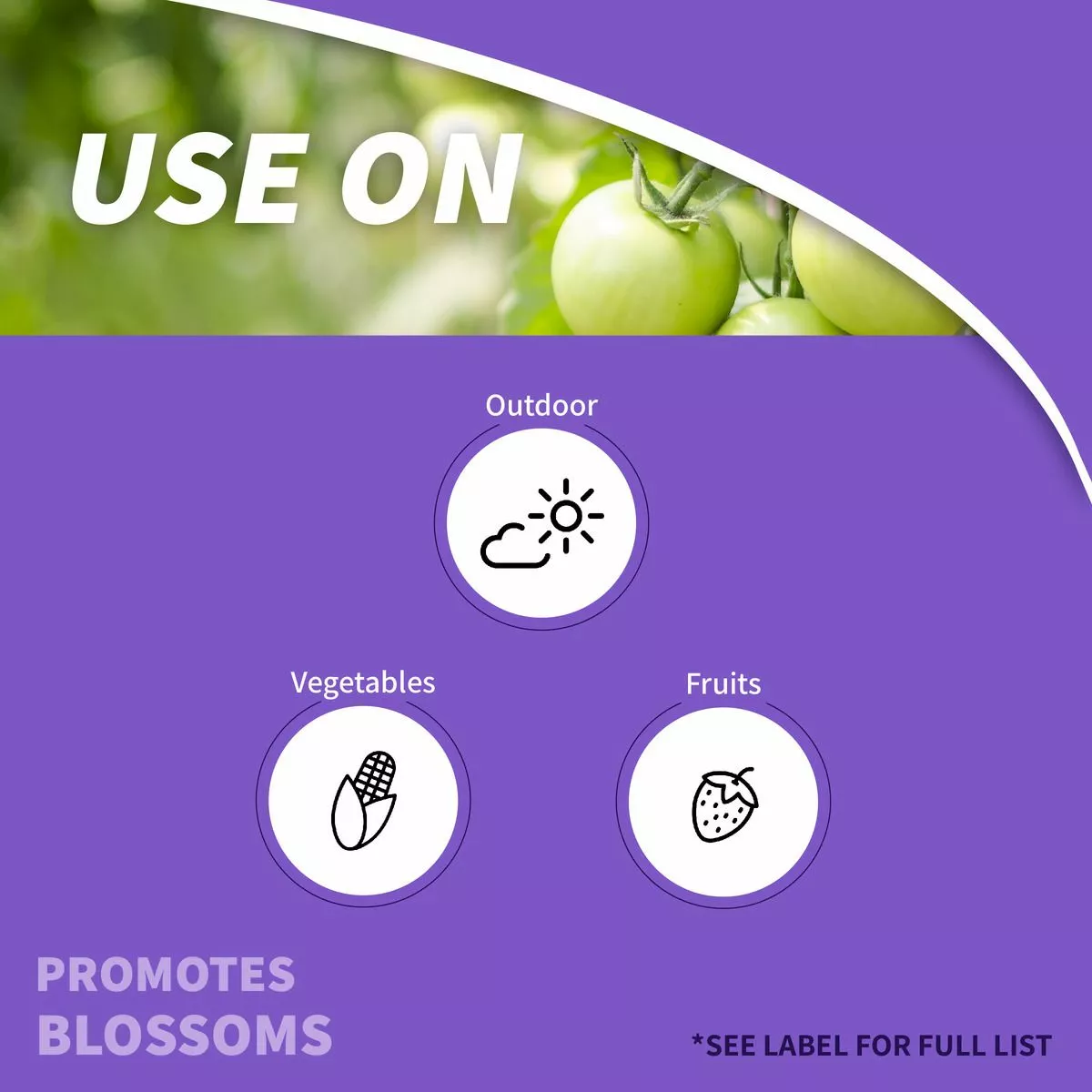 BONIDE Tomato & Blossom Set Spray Ready-To-Use, 8 oz 4 BONIDE Tomato & Blossom Set Spray Ready-To-Use, 8 oz - Image 2