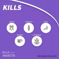 BONIDE Annual® Tree & Shrub Insect Control w/ Systemaxx Concentrate, 128 oz -Lawn & Garden Store sftp a s assets20220701000000158