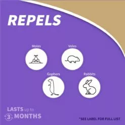 BONIDE MOLEMAX® Mole & Vole Repellent Granules, 10 lbs 10 BONIDE MOLEMAX® Mole & Vole Repellent Granules, 10 lbs -Lawn & Garden Store sftp a s assets20220701000000188