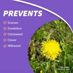 BONIDE KleenUP He High Efficiency Weed & Grass Killer Concentrate, 32 oz 10 BONIDE KleenUP He High Efficiency Weed & Grass Killer Concentrate, 32 oz -Lawn & Garden Store sftp a s assets20220701000000215