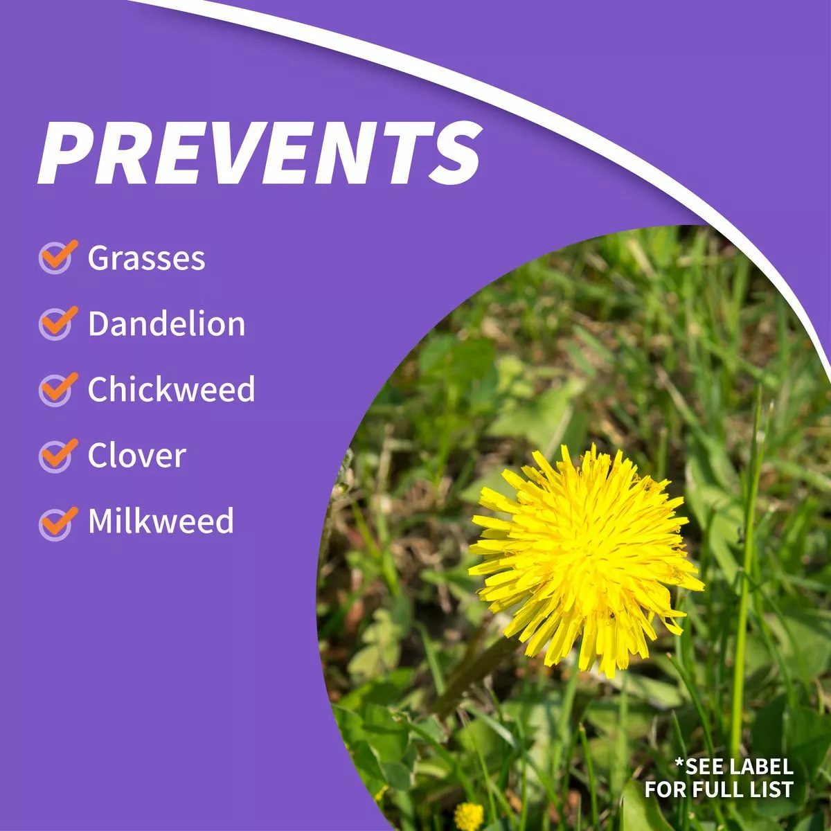 BONIDE KleenUP He High Efficiency Weed & Grass Killer Concentrate, 32 oz 6 BONIDE KleenUP He High Efficiency Weed & Grass Killer Concentrate, 32 oz - Image 4