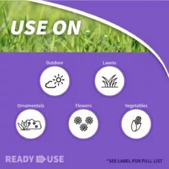 BONIDE EIGHT® Flower & Vegetable Soil Insect Granules, 10 lbs -Lawn & Garden Store sftp a s assets20220701000000244