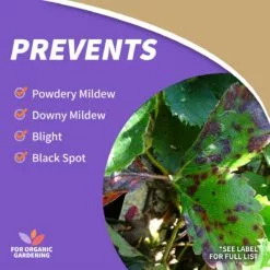 BONIDE CAPTAIN JACK'S Liquid Copper Fungicide Concentrate, 16 oz -Lawn & Garden Store sftp a s assets20220701000000247