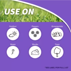 BONIDE Rose Shield™ Systemic Rose & Flower Care Granules, 6 lbs -Lawn & Garden Store sftp a s assets20220701000000284