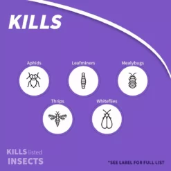 BONIDE Rose Shield™ Systemic Rose & Flower Care Granules, 6 lbs -Lawn & Garden Store sftp a s assets20220701000000285